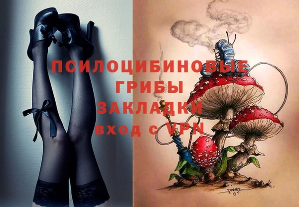 эйфоретик Чекалин