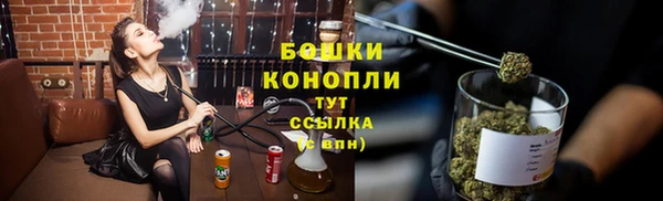 эйфоретик Чекалин