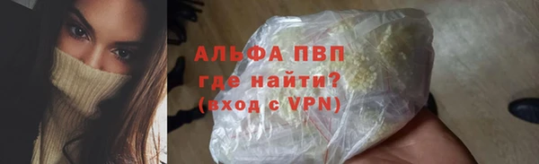 PSILOCYBIN Чердынь