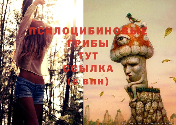 PSILOCYBIN Чердынь