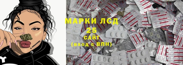PSILOCYBIN Чердынь