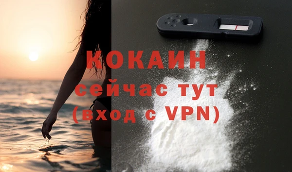 эйфоретик Чекалин