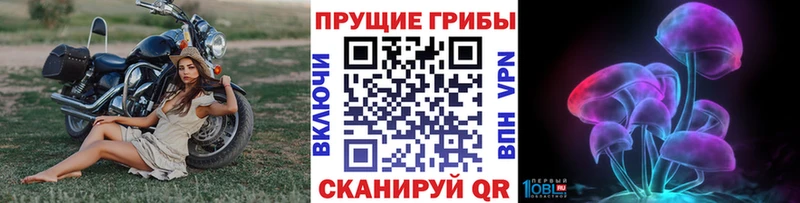 Псилоцибиновые грибы Cubensis  Купить закладки  Сольцы 